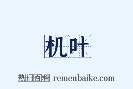 机叶是什么意思的图片